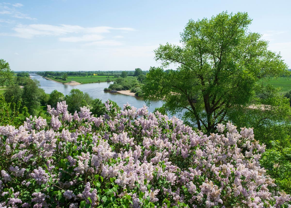 Weser bei Achim