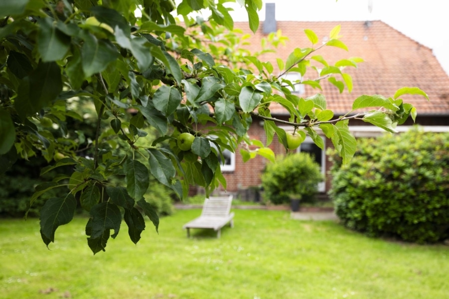 Blick zur Terrasse - Charmanter Resthof: Großzügiges Anwesen mit vielfältigen Nutzungsmöglichkeiten und modernem Komfort