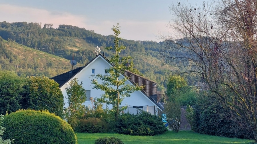 Rückansicht - Attraktives Doppelhaus mit 4 Wohneinheiten