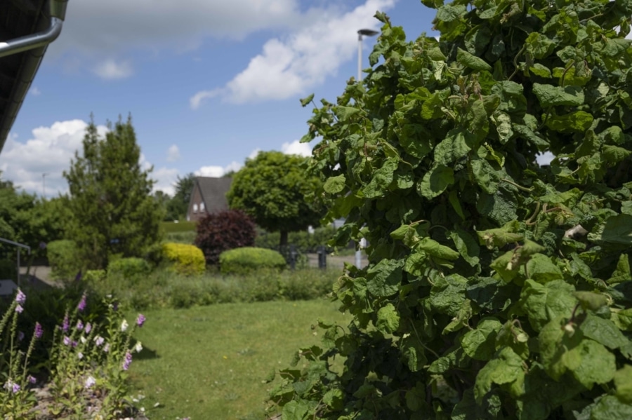 Blick zur Straßenseite - Großzügiges Einfamilienhaus mit viel Platz für die ganze Familie!