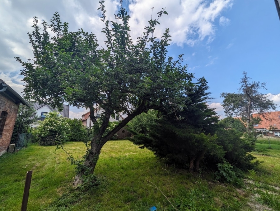 Garten - Verwirklichen Sie Ihr Wohnprojekt: Renovierungsbedürftiges Einfamilienhaus in Barsinghausen!