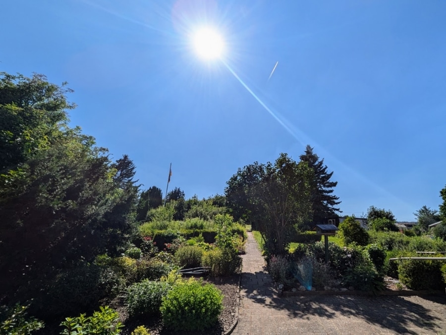 Blick in den Garten - Einfamilienhaus in ruhiger Lage mit großem Grundstück - Ideal auch als Zweifamilienhaus