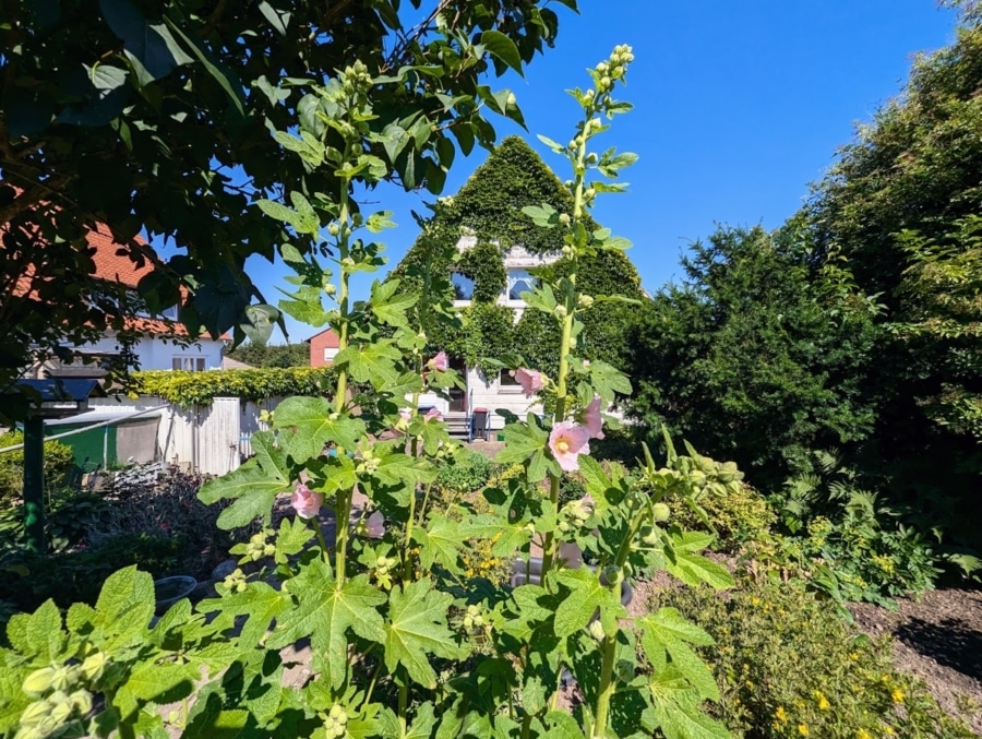 Impression - Einfamilienhaus in ruhiger Lage mit großem Grundstück - Ideal auch als Zweifamilienhaus