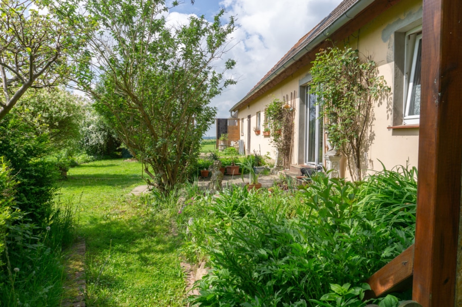 Blick zur Terrasse - Großzügiges Familienparadies in ruhiger Lage bei Dummerstorf – Raum für Träume und Natur