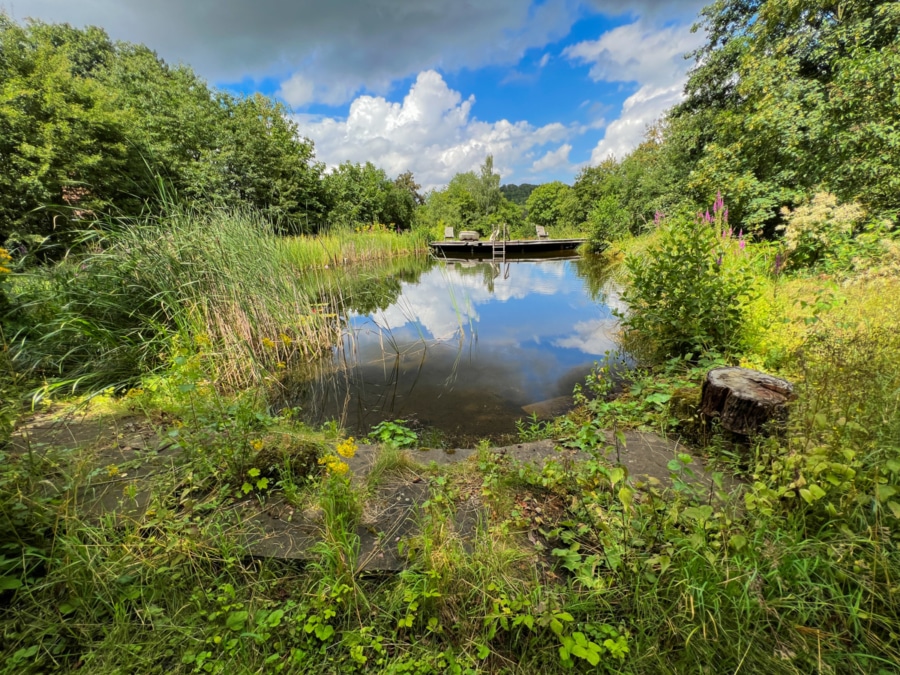 Schwimmteich - Fachwerkhaus mit Mieteinnahmen und Solaranlage, ideal für Wohnen und Gewerbe