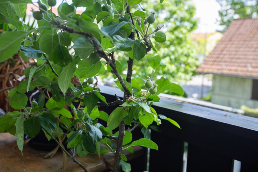 Entspannen auf dem Balkon - Gemütliche 3-Zimmer-Wohnung mit Balkon in Ismaning