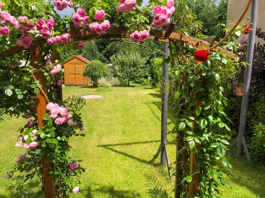 Terassenausgang - Idyllisches Stadthaus in Burgstädt