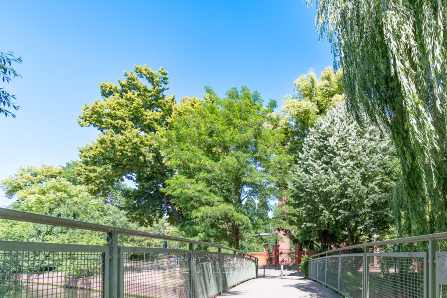 Umgebung Brücke - Am Schaum vom Wasser