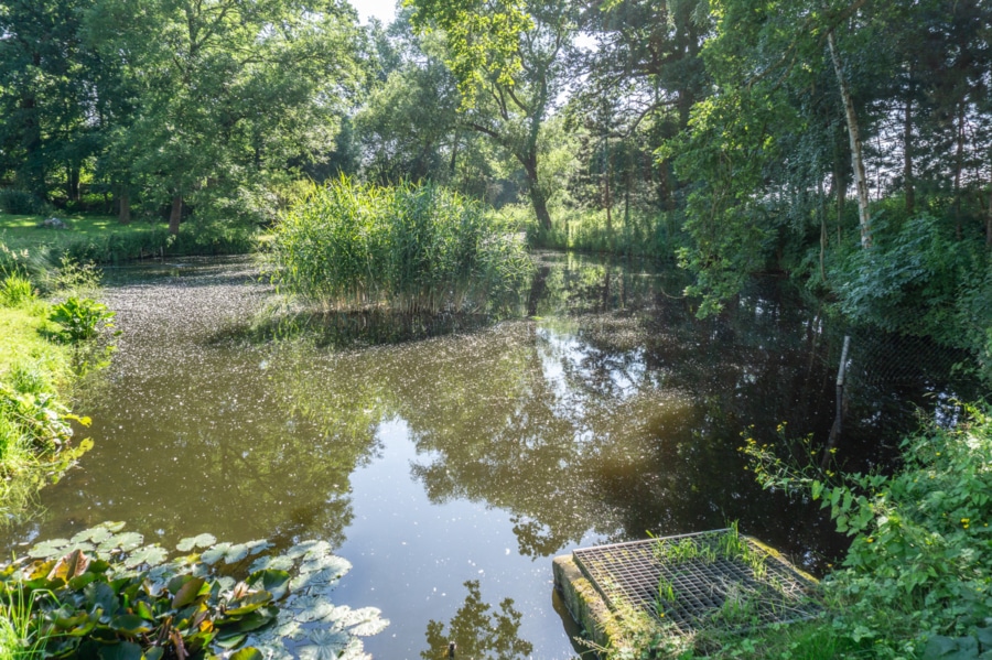 Teich - Ein architektonisches Meisterwerk für Liebhaber und Investoren mit Herz, in Wendfeld