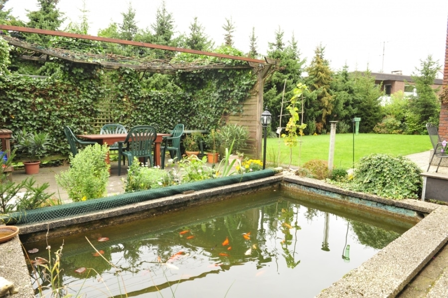 Teich und Weinlaube - Mehrgenerationenhaus mit Garten und Dachterrasse