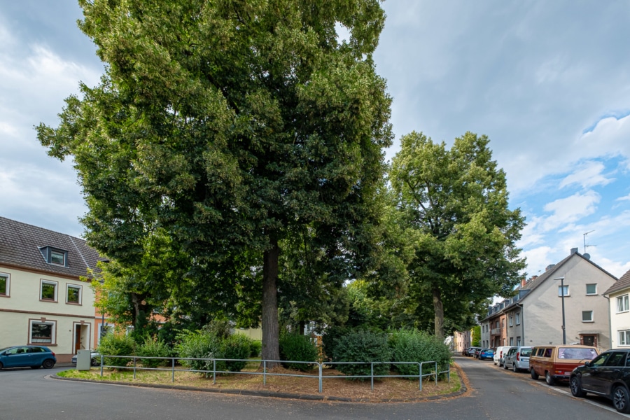 Grünflächen neben dem Haus - Vollvermietetes Rendite 3-Parteienhaus mit 9 Garagen in Köln-Flittard