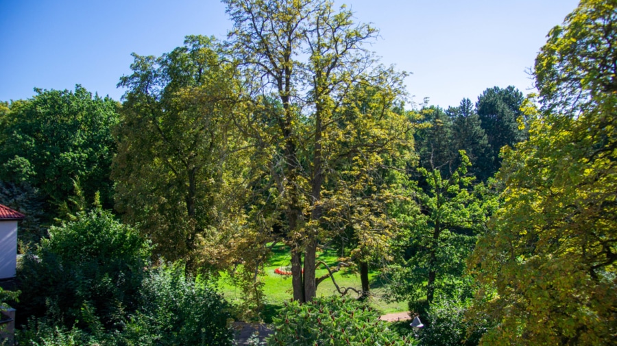 Park - Großzügige 5 Zimmer Dachgeschosswohnung