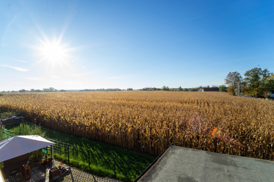 Ausblick - Modernes Mehrfamilienhaus in Nobitz!