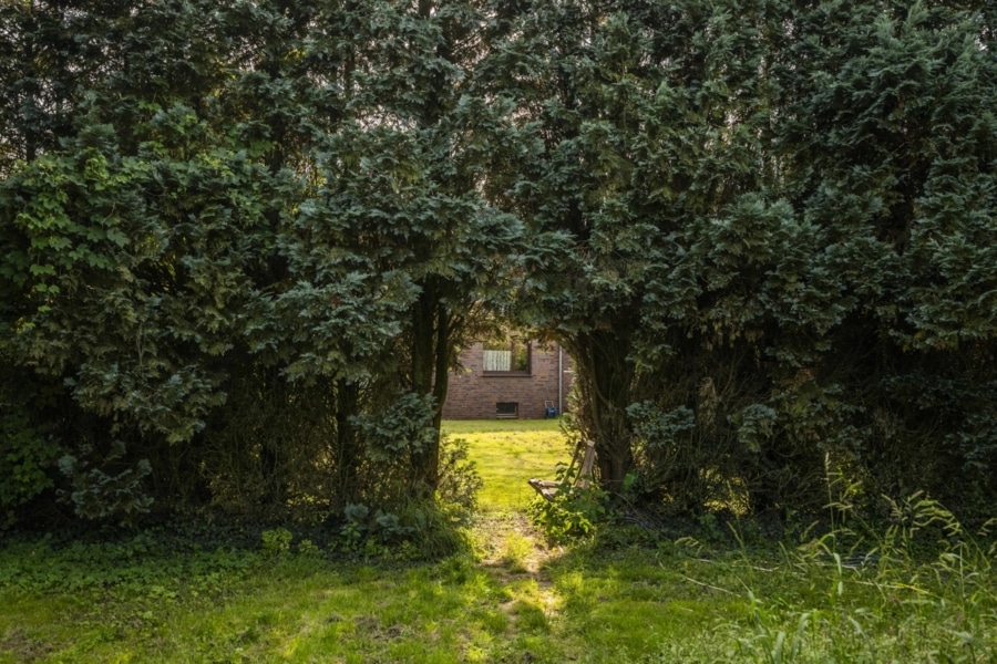 Garten - Viel Platz auf großem Grundstück!