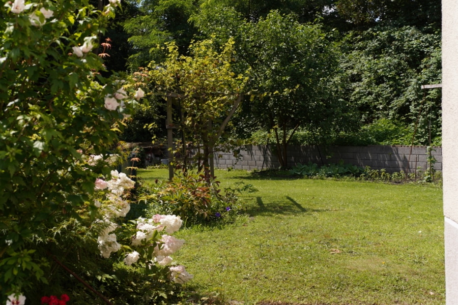 Ansicht Garten - Ihr neues Glück in Gelsenkirchen-Hassel!