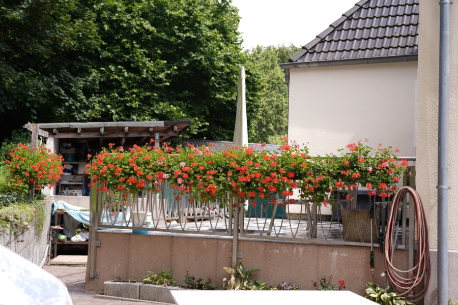 Außenbilder - Ihr neues Glück in Gelsenkirchen-Hassel!