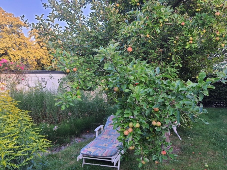 Impression - Ruhiges Wohnen im Grünen: Ihr Zuhause im begehrten Stadtteil Kirchrode