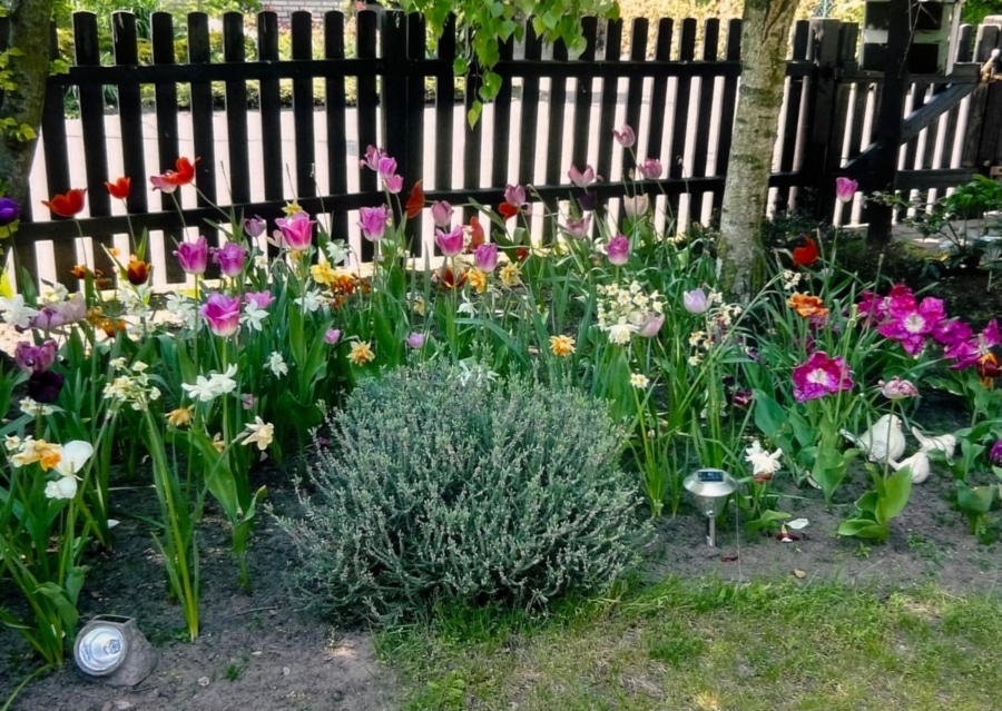 Impression Garten - Viel Platz für Ihre Träume: Zweifamilienhaus mit Einliegerwohnung und idyllischem Grundstück