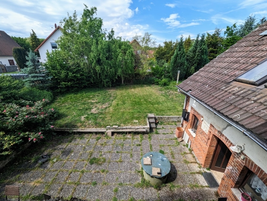 Blick auf die Terrasse - Wer küsst Dornröschen aus dem Schlaf