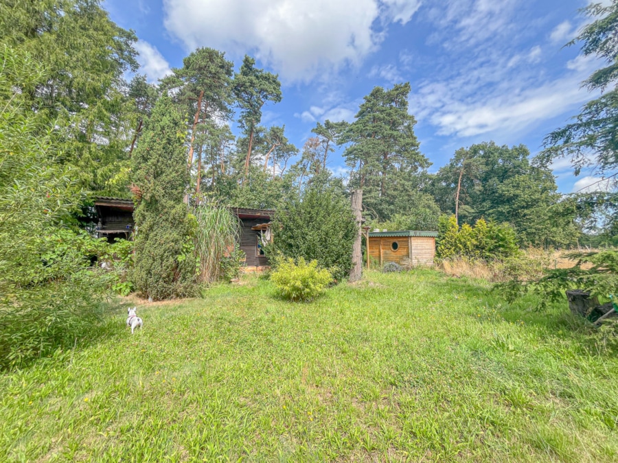 Garten - Charmanter Bungalow mit großem Grundstück – Wohnen in der Natur