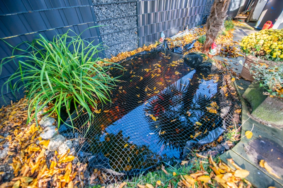 Impressionen Garten - Attraktive Kapitalanlage im Herzen von Marl-Brassert !