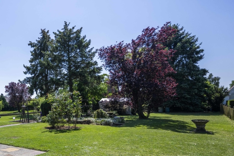 Blick in den Garten - Vielseitiges Wohnen – Ihr flexibles Zuhause als Einfamilien- oder Zweifamilienhaus!