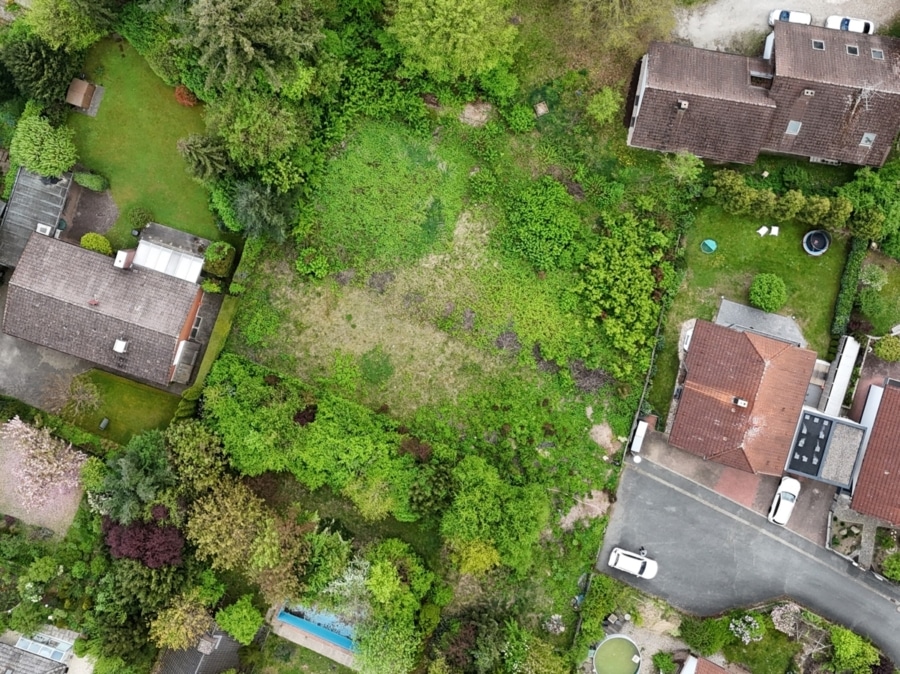 Eckental in Südhanglage: Der ideale Standort für Ihr neues Zuhause - Erschlossenes Grundstück in sonniger Hanglage – Ideal für individuelle Wohnkonzepte