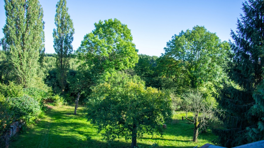 Grundstück - Viel Platz für Groß und Klein! Ihr Einfamilienhaus in Hartmannsdorf