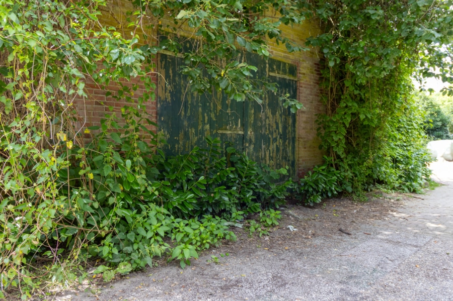 Stall (2) - Einfamilienhaus mit Pferdehaltung und großem Grundstück