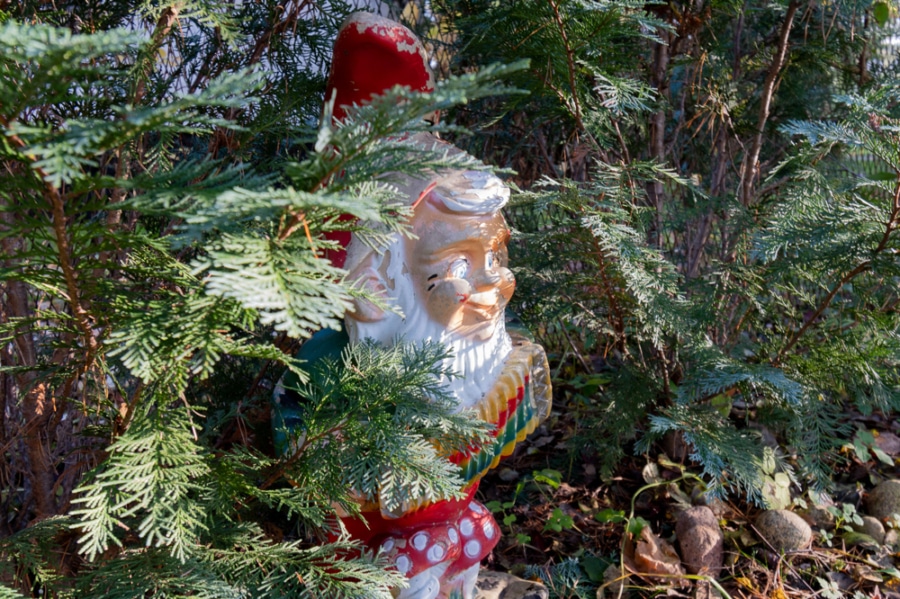 Figur - Zwischen Wäldern und Wasser l Idyllisches Leben am Möllensee