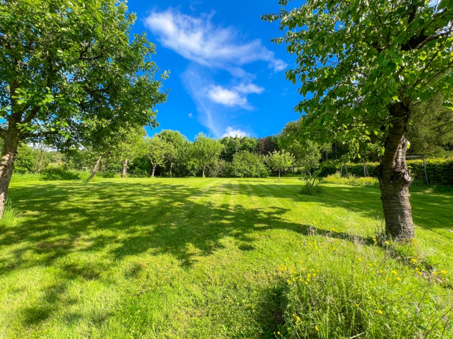 Gartenlandschaft (2) - Charmantes Ferienhaus in Naturidylle – Perfekt für Erholungssuchende