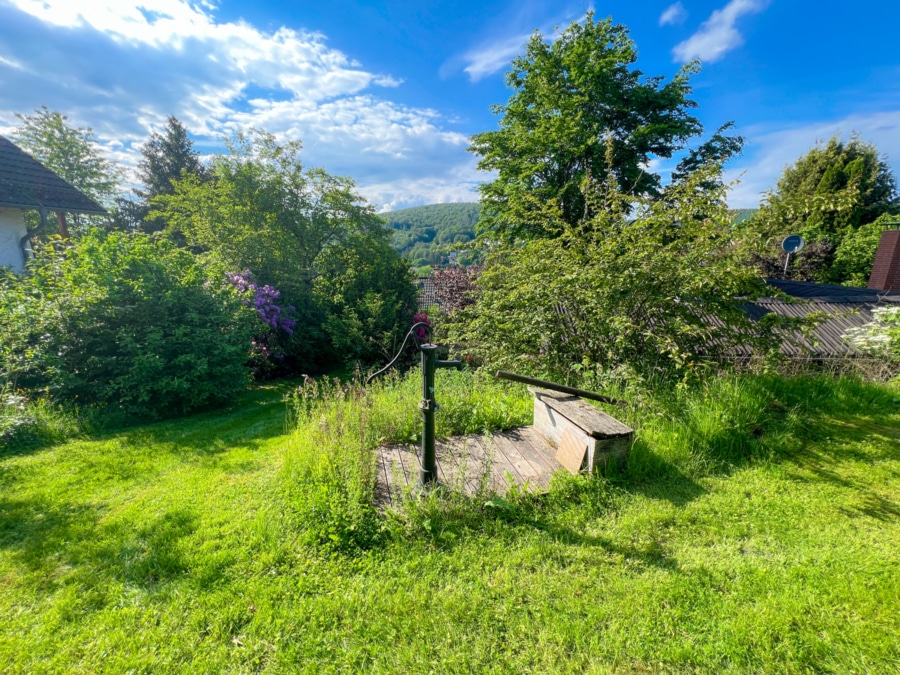 Gartenlandschaft (1) - Charmantes Ferienhaus in Naturidylle – Perfekt für Erholungssuchende