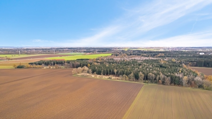 Naherholungsgebiet - Naturnah wohnen, modern genießen: Ihr Neues Zuhause in der Waldkolonie