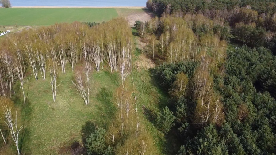 Grundstück - Baugrundstück mitten im Wald – Ihr Rückzugsort auf der Insel Wolin