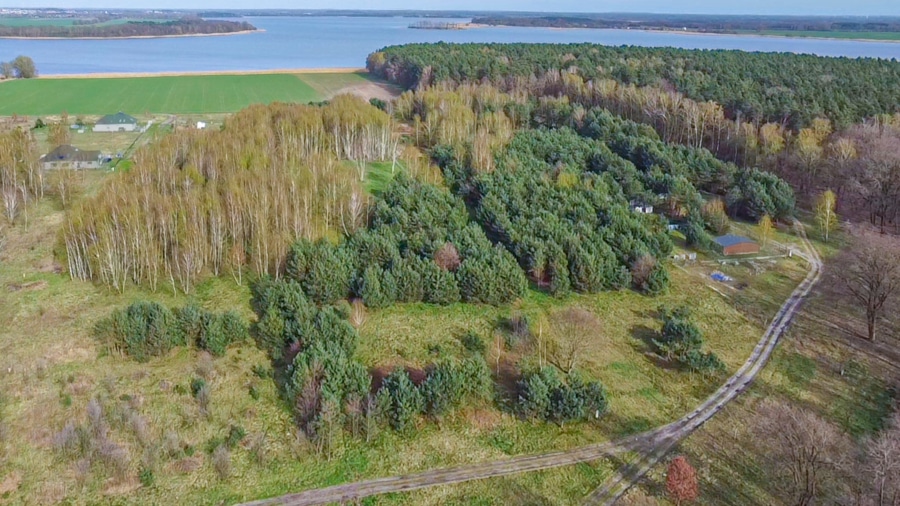 Umgebung - Baugrundstück mitten im Wald – Ihr Rückzugsort auf der Insel Wolin