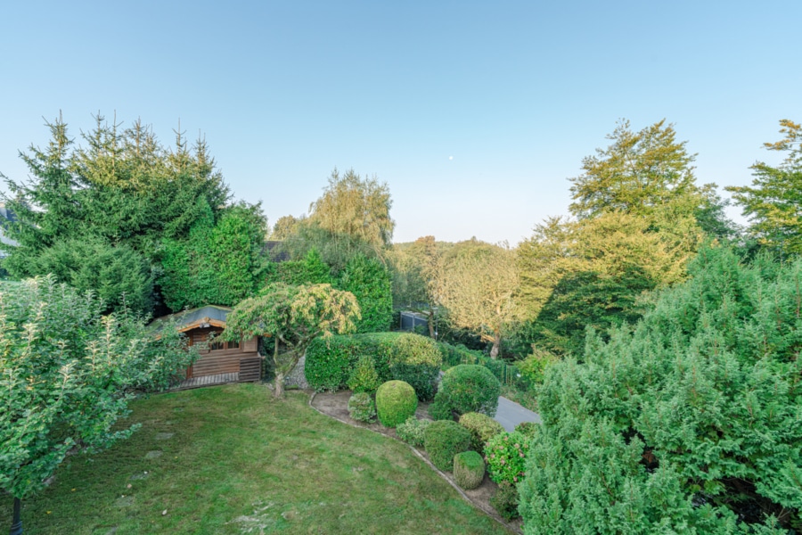 Blick in den Garten - Mitten im Grünen!