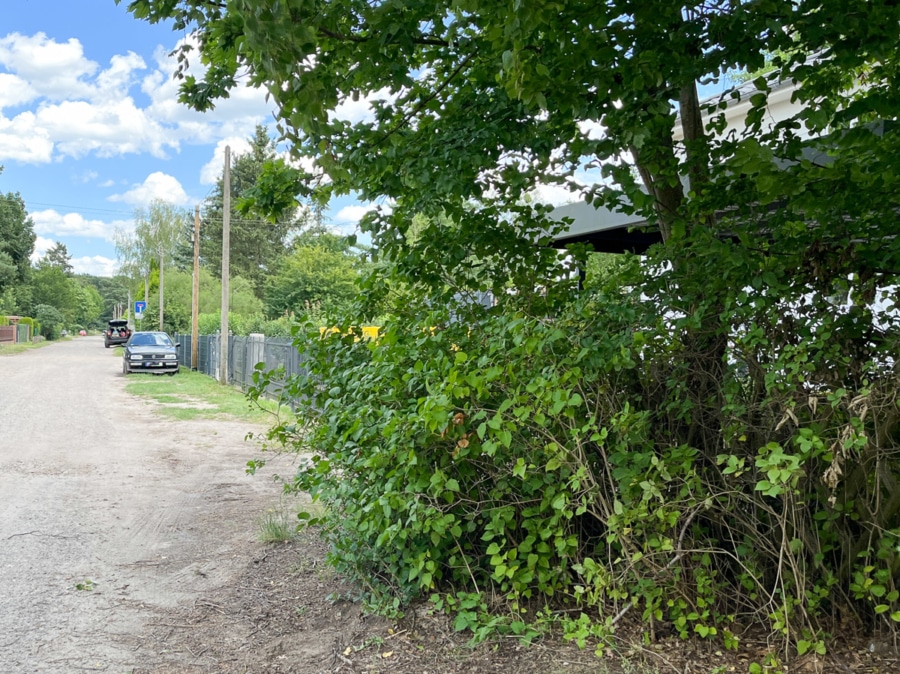 Straßenseite - Platz für Ihre Visionen auf dem familienfreundlichen Baugrundstück in Brieselang