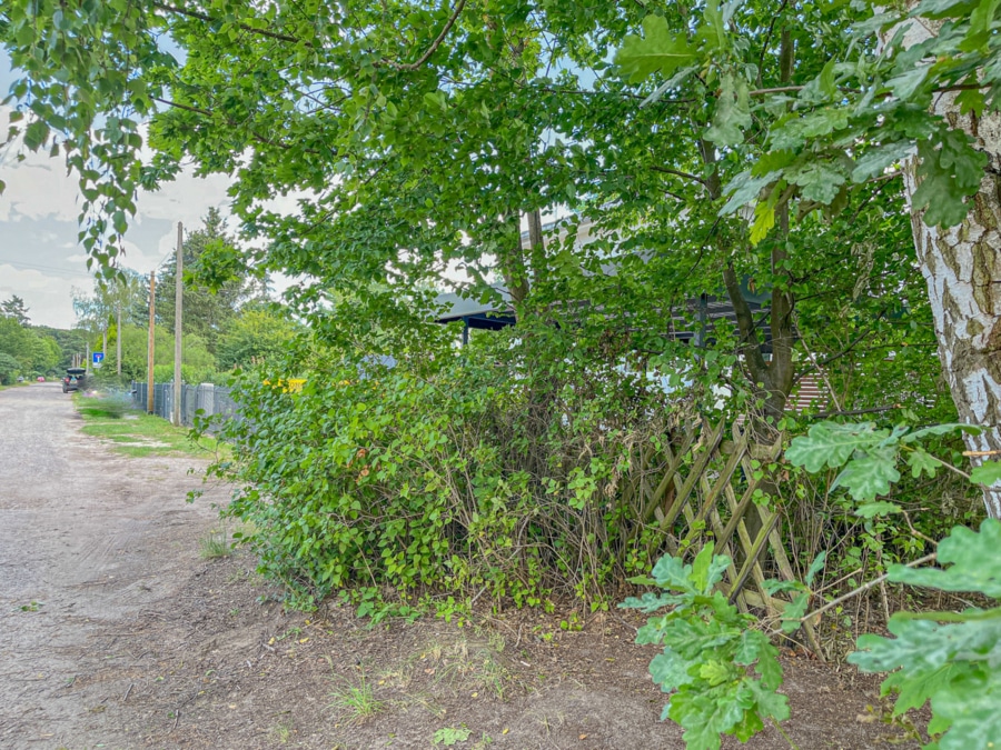 Vor dem Grundstück - Platz für Ihre Visionen auf dem familienfreundlichen Baugrundstück in Brieselang